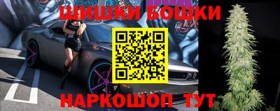 гидропоника Будённовск