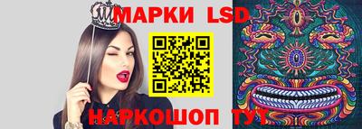 гидропоника Будённовск