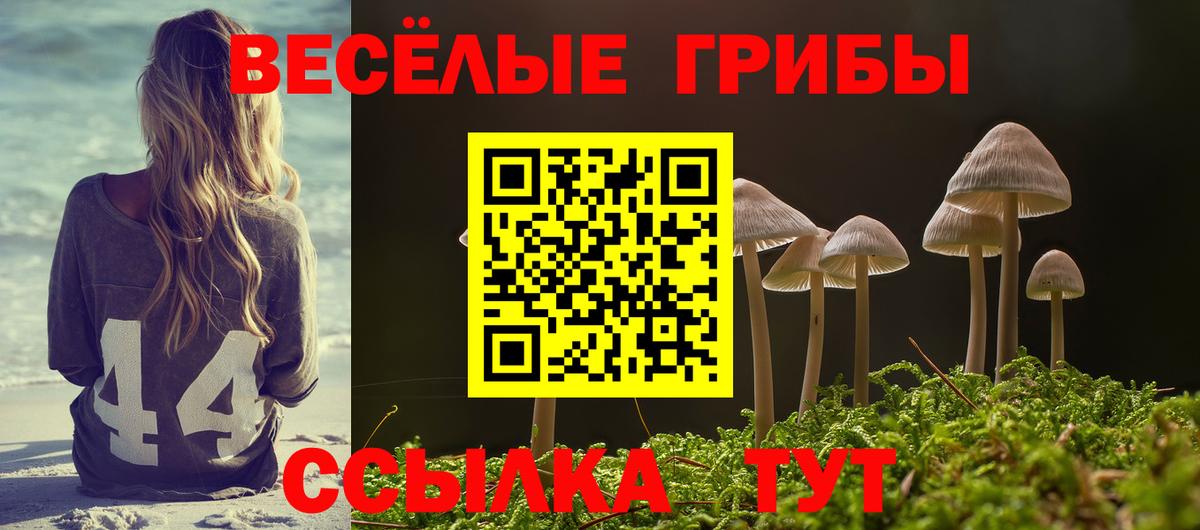 Галлюциногенные грибы прущие грибы  Вход с VPN  Чистополь 